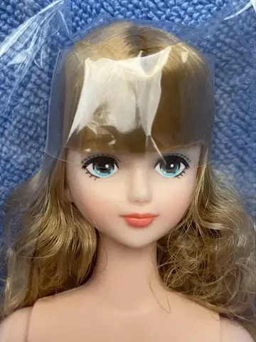 즐거운 인형 시온