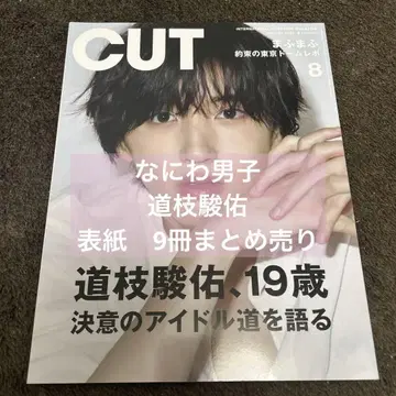 미치에다 슌스케 표지 잡지 팜플렛 묶음 판매
