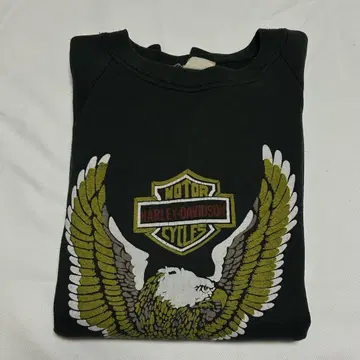 80s 빈티지 USA제 할리 맨투맨 블랙 후르츠바디 발포