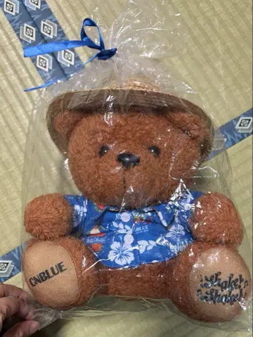CNBLUE spring 라이브 봉제 인형