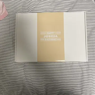 조슈아 바파케 SEVENTEEN