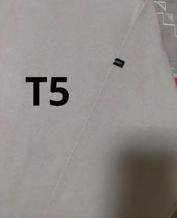 새상품급 세인트 제임스 베이지 t5 ML