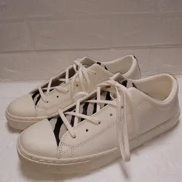 CONVERSE 가죽 스니커즈 ALL STAR COUPE AM 23cm