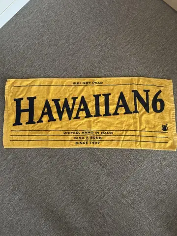 Hawaiian6 타월