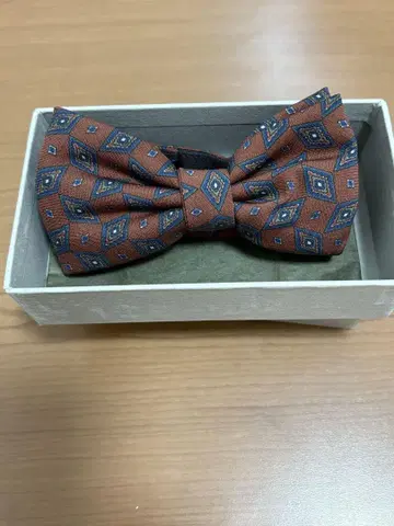 fiorio 나비 넥타이 브라운