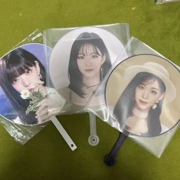 프로미스나인 채영 부채