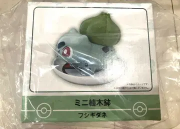 미니 화분 이상해씨