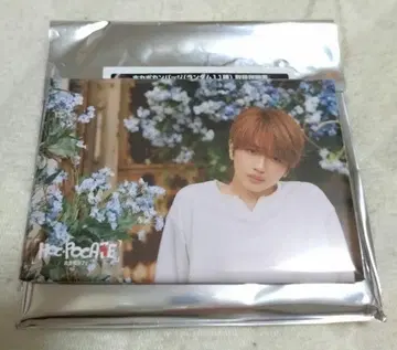 Nissy 호카포칸 배지