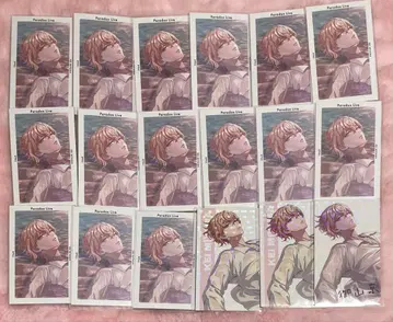 미야마 쿄 G프리 ver.53 한여름의 환영 파라라이