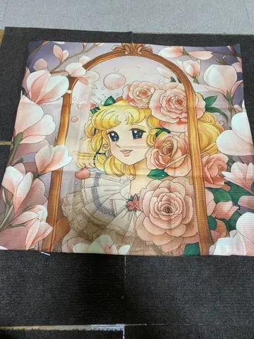 캔디캔디 쿠션 커버 45x45cm