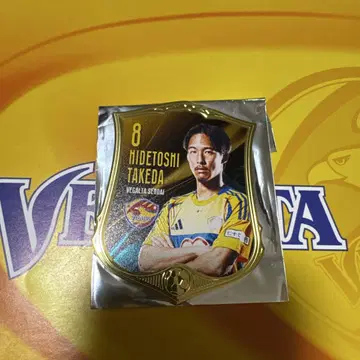 [ 미사용품 ] 베갈타 센다이 타케다 선수 시크릿 알루미늄 마그넷