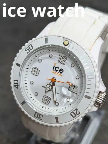 배터리 교체 완료 ice watch 스와치 화이트 손목시계 다이버즈