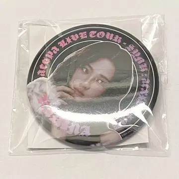 aespa 2025 LIVE TOUR 랜덤토이 캔뱃지 카리나