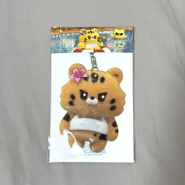 FIM'S CLUB 채원 트레이딩 카드 케이스