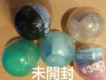 원색 문어 오징어 도감 5종