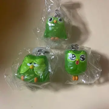 듀오링고 3세트