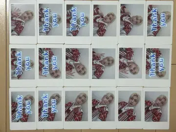팬더드래곤 파라곤 하피카 요우타