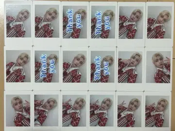 팬더드래곤 파라곤 하피카 요우타