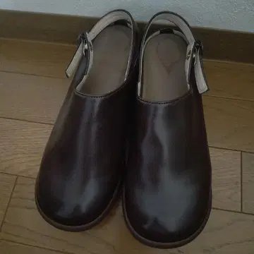 Regatta Canoe 사보 클로그 샌들 브라운