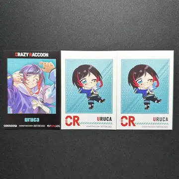 CrazyRaccoon 우루카 uruca 폴라로이드 GiGO