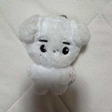 성훈 마스터 봉제 인형 키링