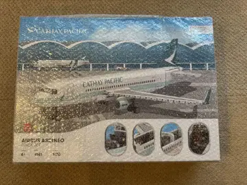 CATHAY PACIFIC AIRBUS A321 NEO 블록 세트