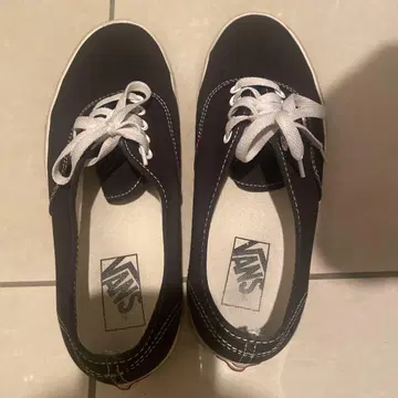 Vans 오센틱 26cm