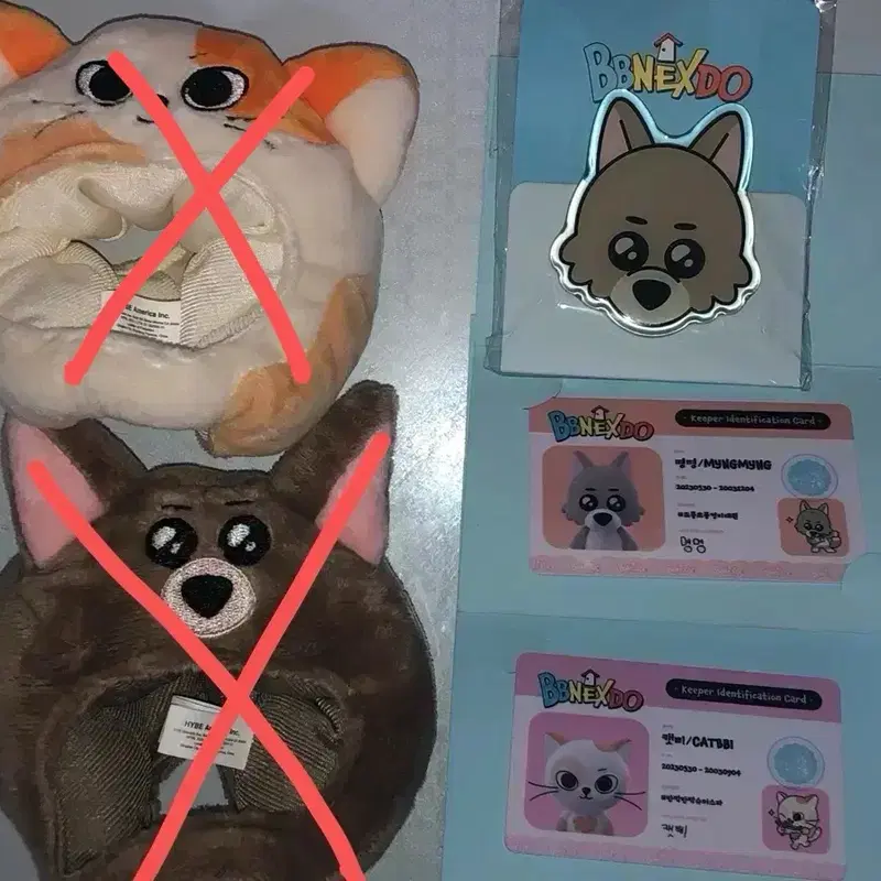 보이넥스트도어 성호 명재현 쁘넥도 캣삐 명명이