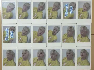 팬더드래곤 파라곤 하피카 요우타