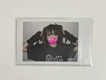 AVAM 오하라 오토하 WEGO 콜라보 란 폴라로이드