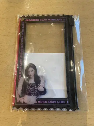 aespa 2025 LIVE 랜덤 토이 슬라이더 파우치 닌닌