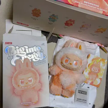 big into energy LABUBU 오렌지 HAPPINESS