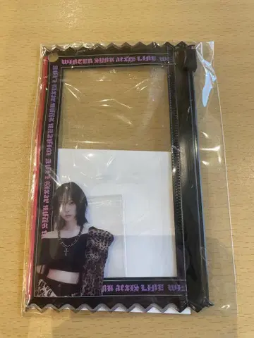 aespa 2025 LIVE 랜덤 토이 슬라이더 파우치 윈터