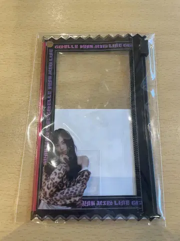 aespa 2025 LIVE TOUR 랜덤 토이 슬라이더 파우치 카리나