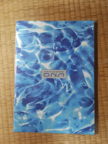 d.n.a. 팜플렛