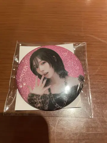aespa 2025 LIVE TOUR 랜덤 토이 캔뱃지 윈터