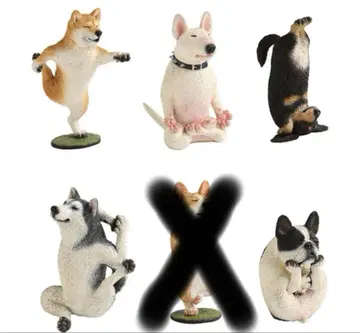 ANIMAL LIFE 개 요가 마스터 5개 세트 피규어 아사쿠마 토시오