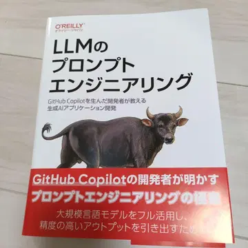 LLM 프롬프트 엔지니어링