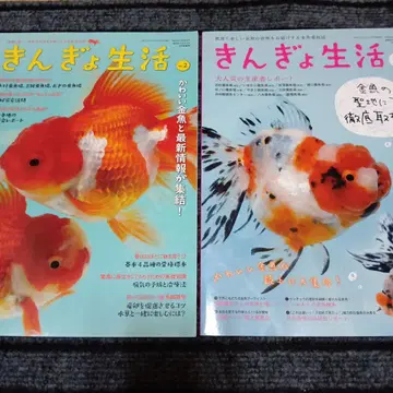 긴교 생활 5권 세트 부록 포함
