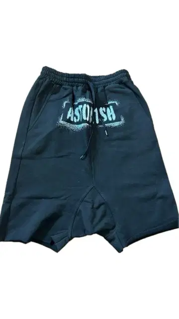 BEEDEN 비덴 spray logo sarouel shorts