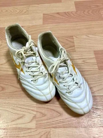 MIZUNO 미즈노 모나르시다 27cm 폭넓은 4E