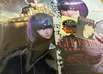 GHOST IN THE SHELL SAC_2045 클리어 파일