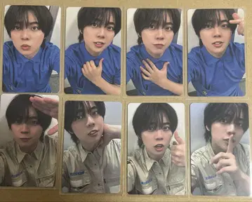 팬더드래곤 나기 트레이딩 카드 토부 동물공원 파라곤