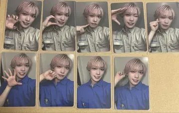팬더드래곤 타이거 트레이딩 카드 토부 동물공원 파라곤