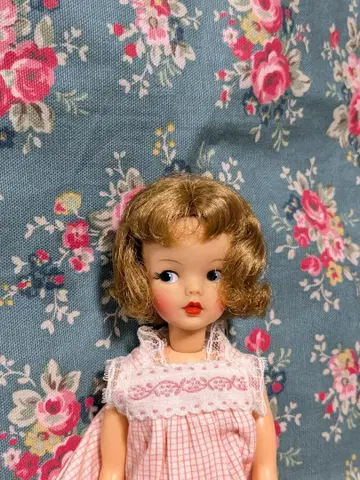 [1960년대 빈티지 인형] 태미 인형 당시 물품