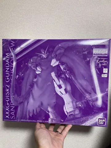 MG 1/100 건담 샌드록 EW