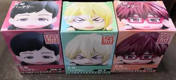 최종 가격 인하 배송비 포함 망각 배터리 미니 피규어 3체 세트