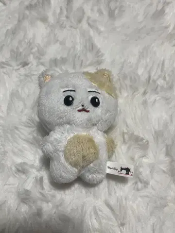 히스 봉제 인형 마스터