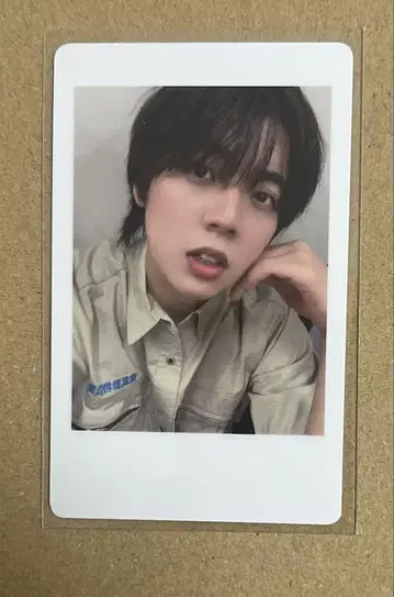 팬더 드래곤 나기 하피카 파라곤 토부 동물공원