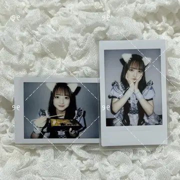 iLiFE! 논픽! 란체키 코르네